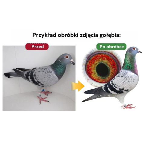 PRZED I PO 1DO1.jpg