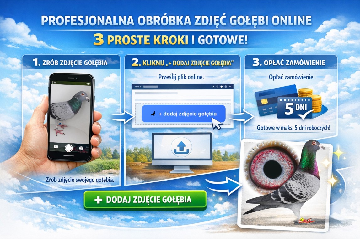 Stylowość w każdym szwie